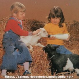 Imagem por omissão