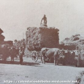 Imagem por omissão